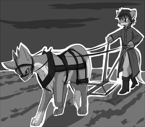 life017.jpg, 31kB